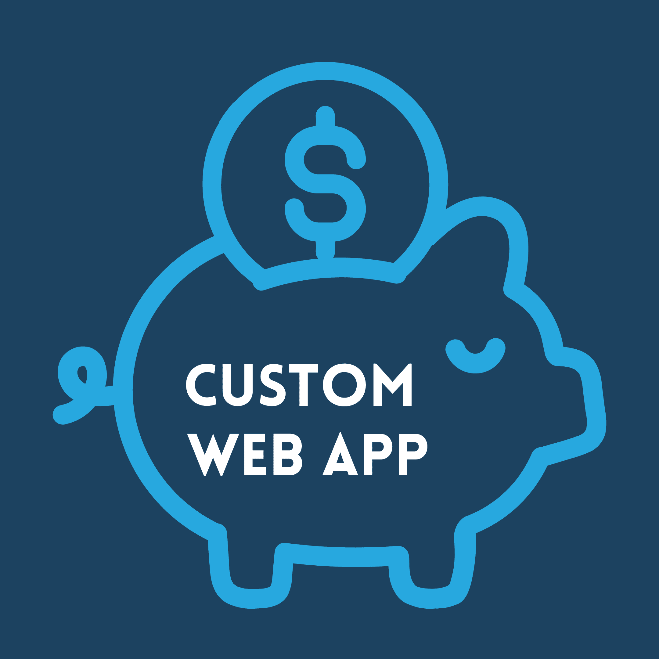 Custom web application, development